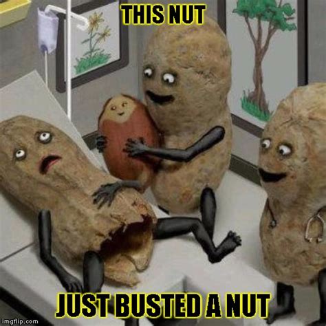 Nut Meme Meme Generator